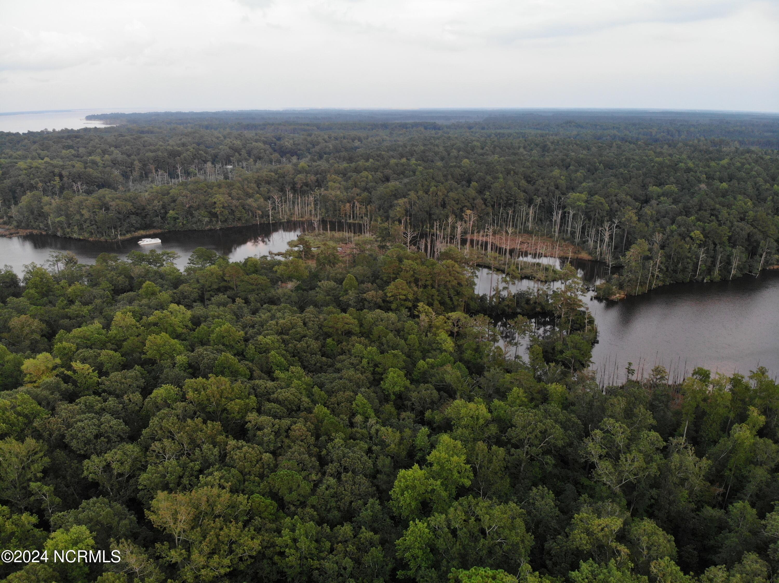 Image 3: C3 Nevil Creek