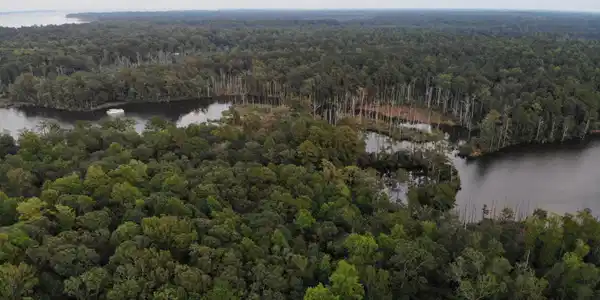 Image 4: C3 Nevil Creek