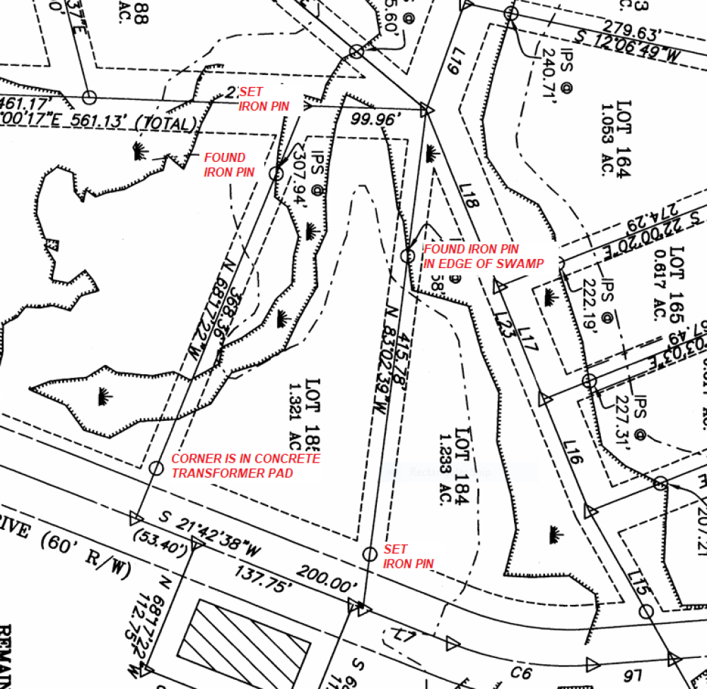 Image 3: Survey
