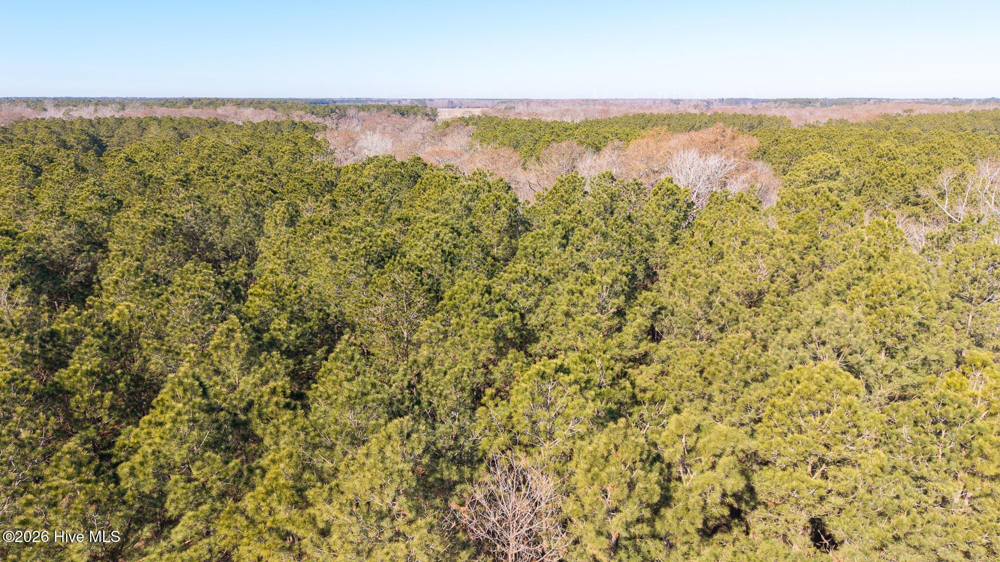 Image 4: 285 Riversound Dr