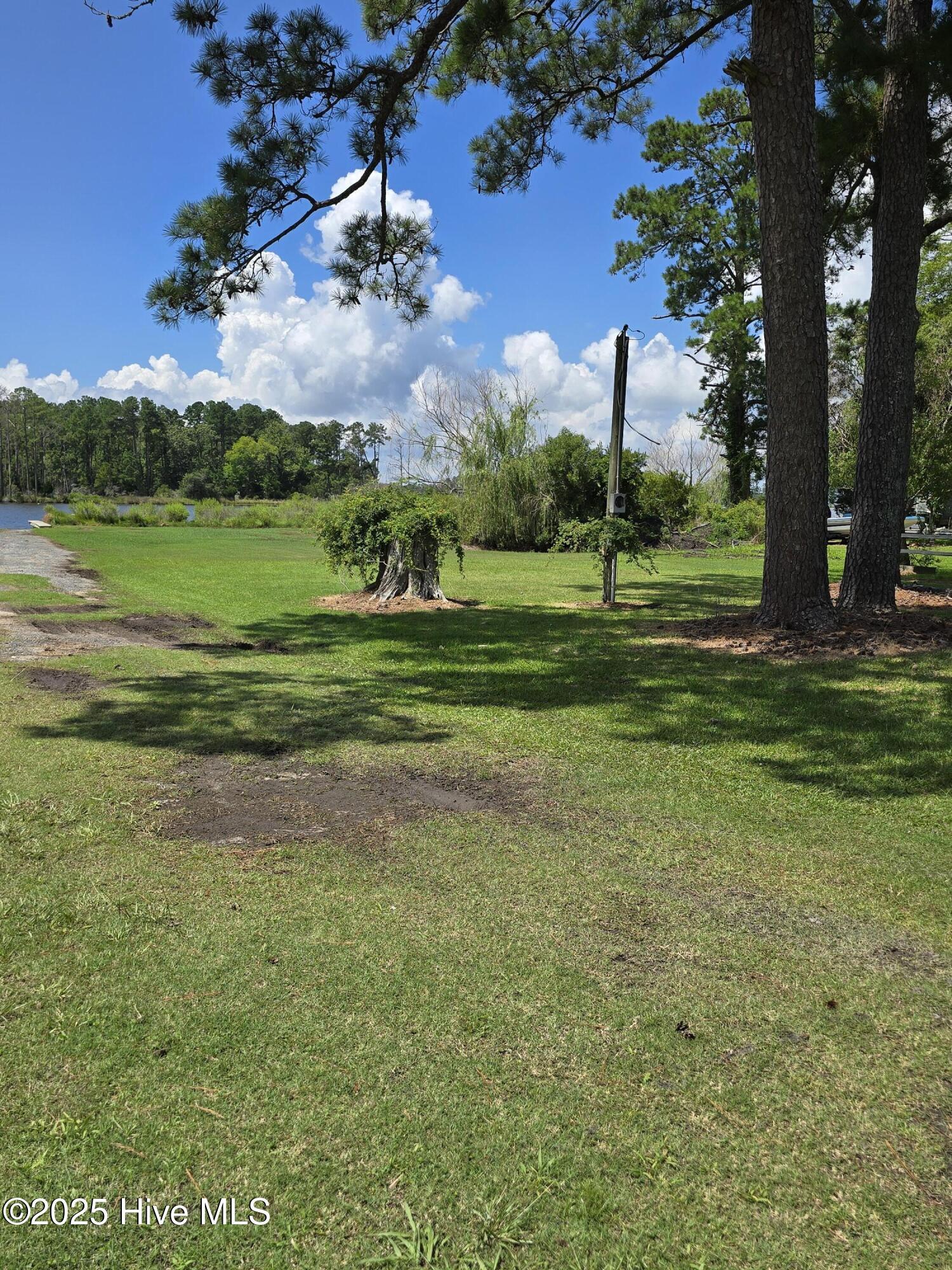 Image 2: 20250714_114545