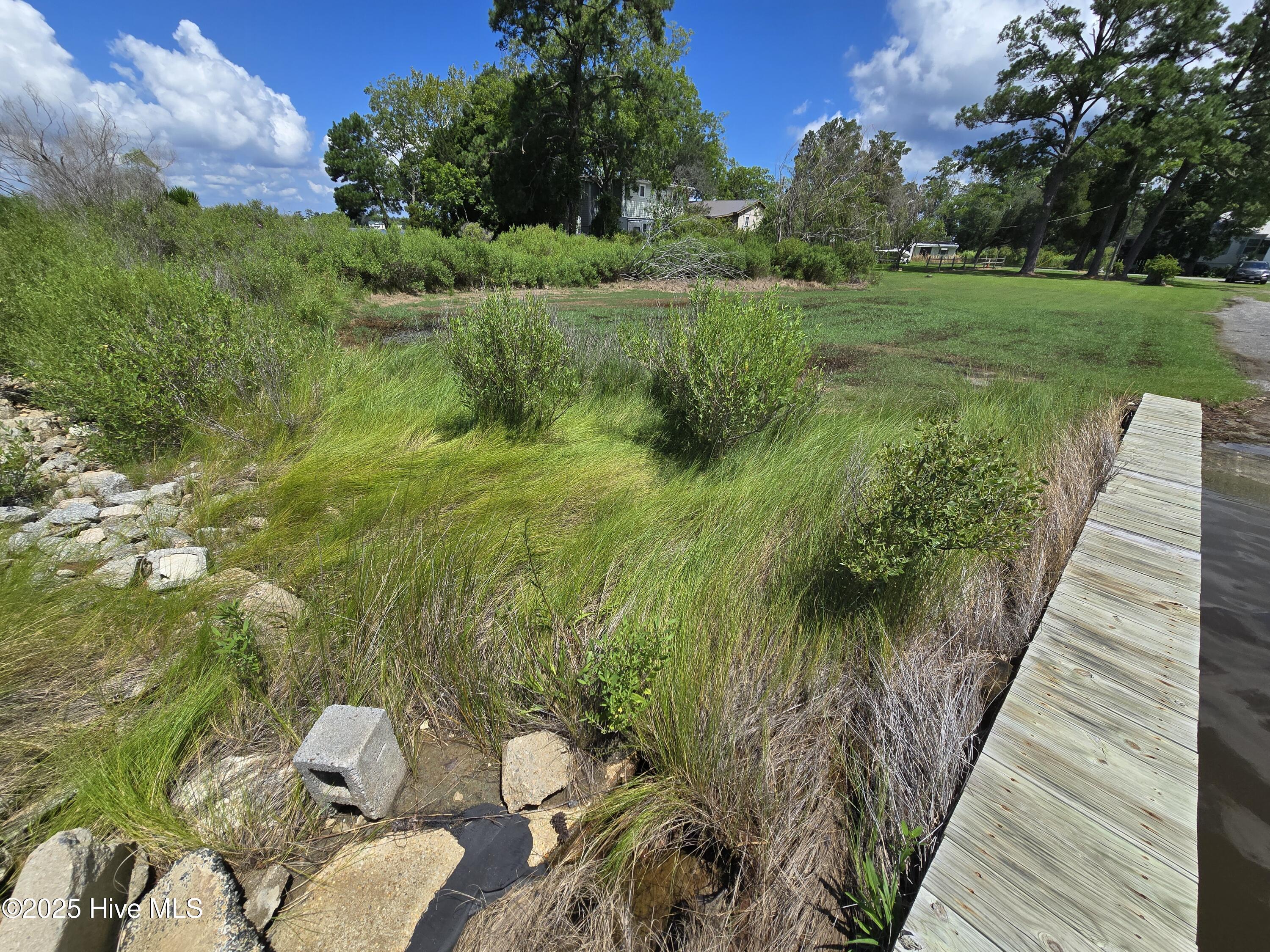 Image 3: 20250714_114339