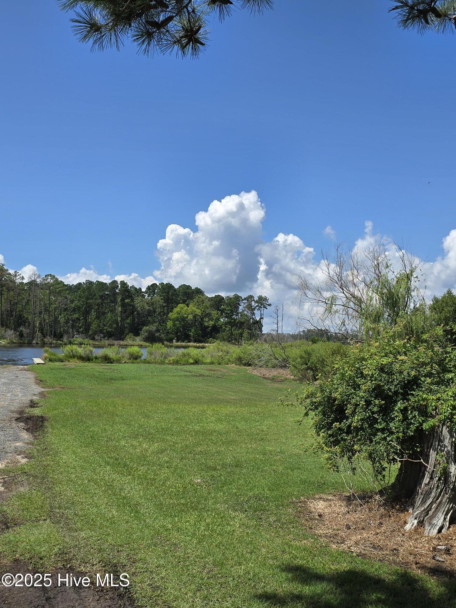 Image 4: 20250714_114244