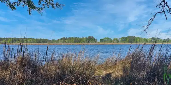 Lot 52 Pungo Trails
