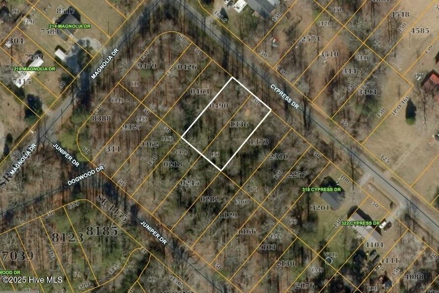 Image 1: Aerial