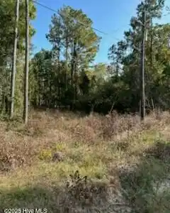 169 Point Road