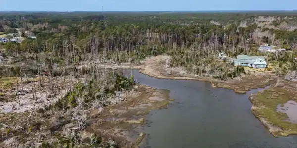 Image 4: DJI_20260325114957_0024_D_1