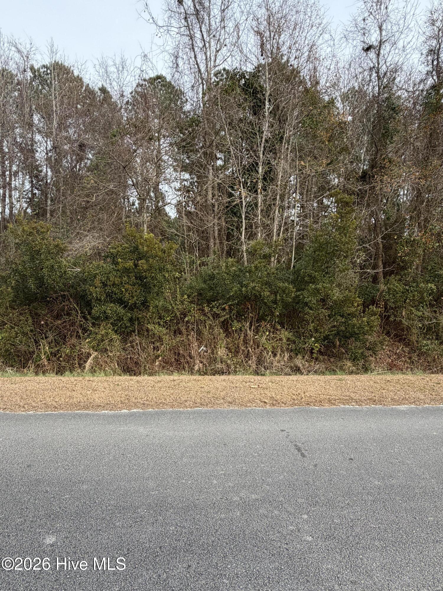 Image 1: wooded lot 2