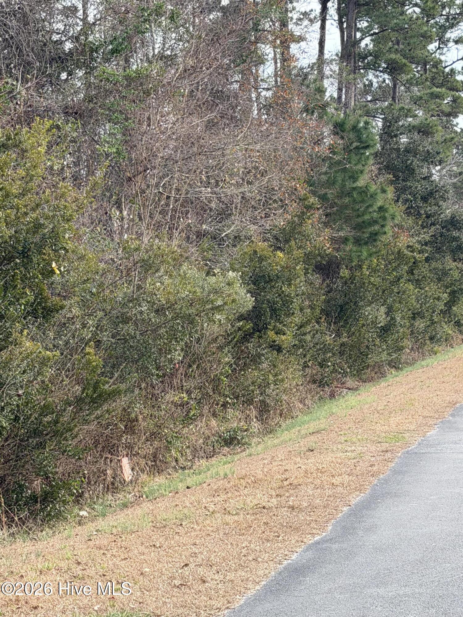 Image 2: wooded lot