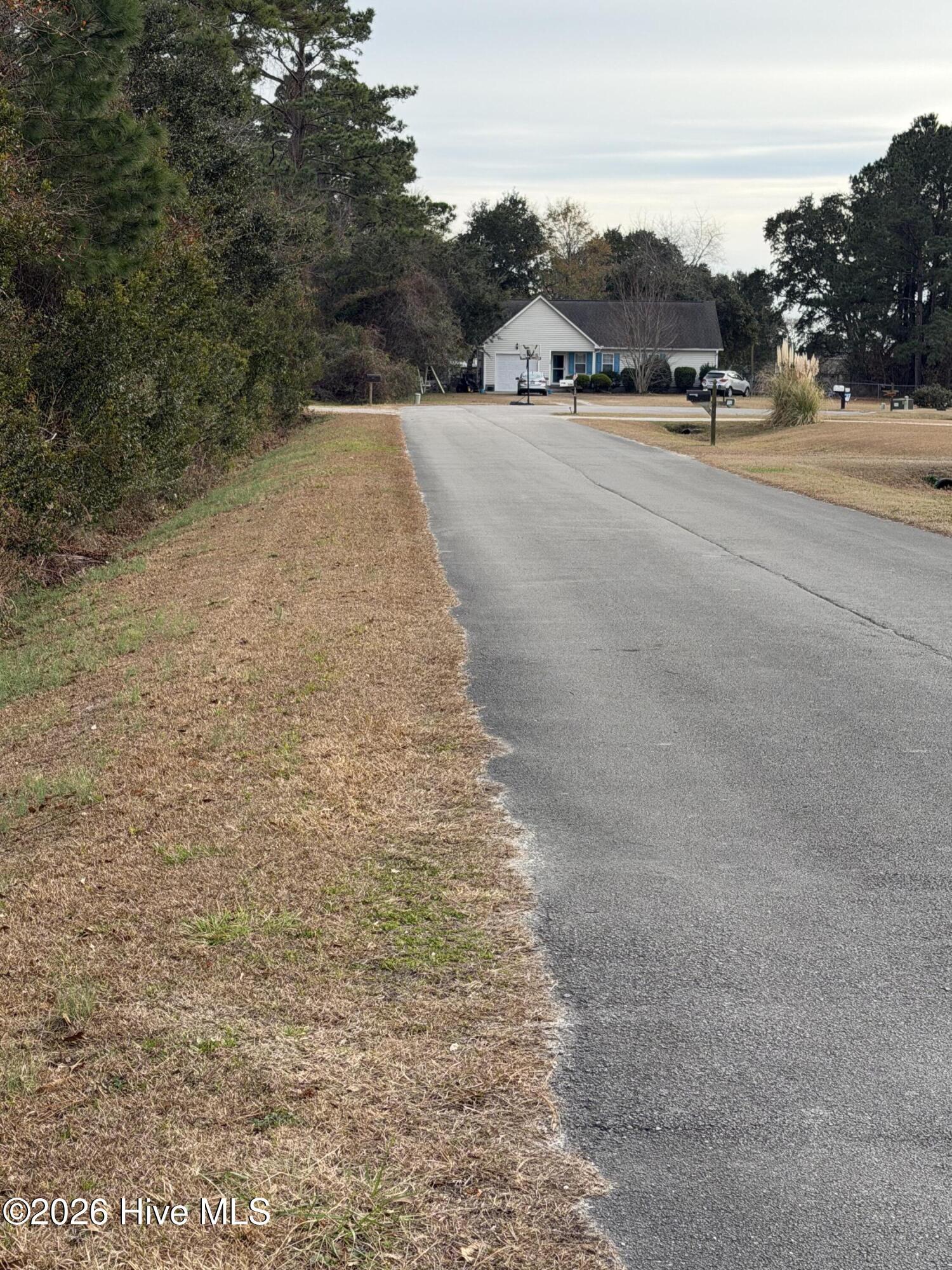 Image 3: wooded lot street 1
