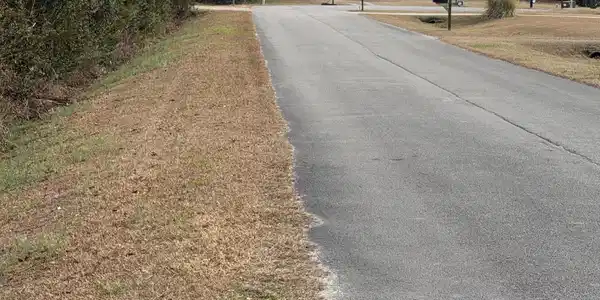 Image 3: wooded lot street 1