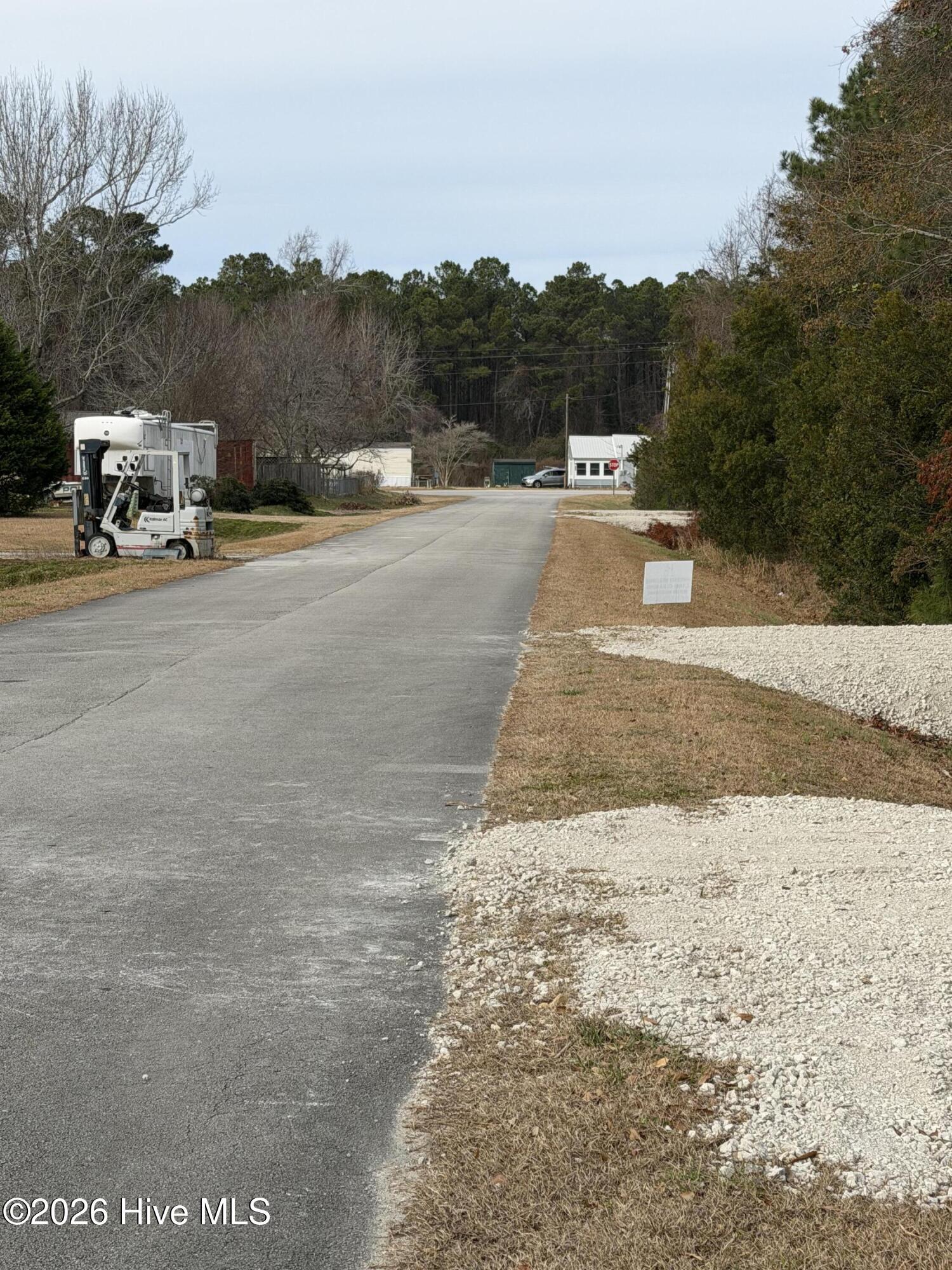 Image 4: wooded lot street 2