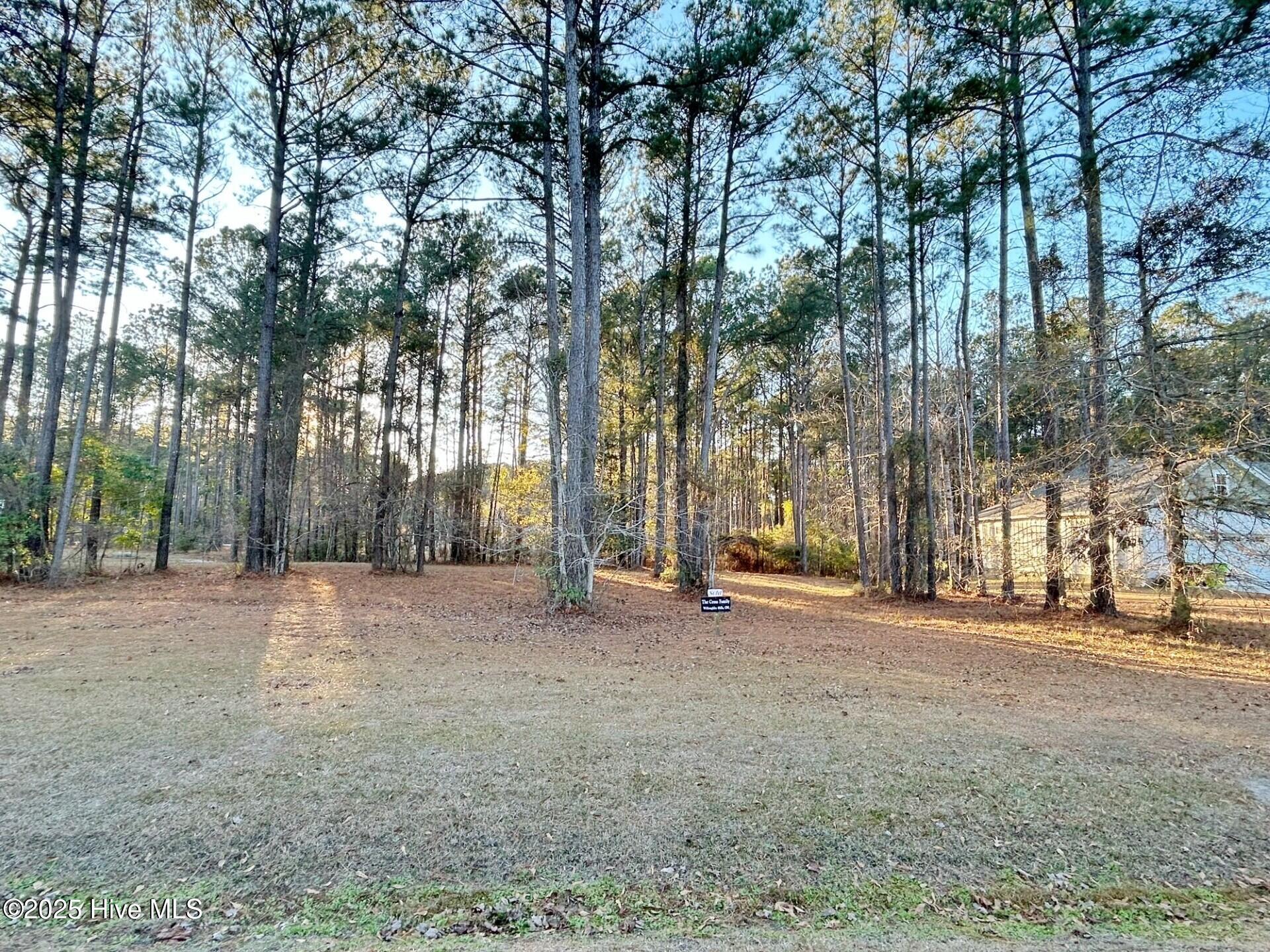 Image 4: lot 43 pic