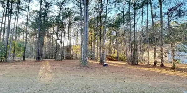 Image 4: lot 43 pic