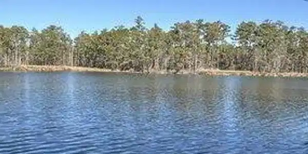 Image 3: small_photo (3)