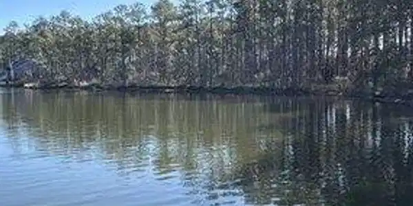 Image 4: small_photo (1)