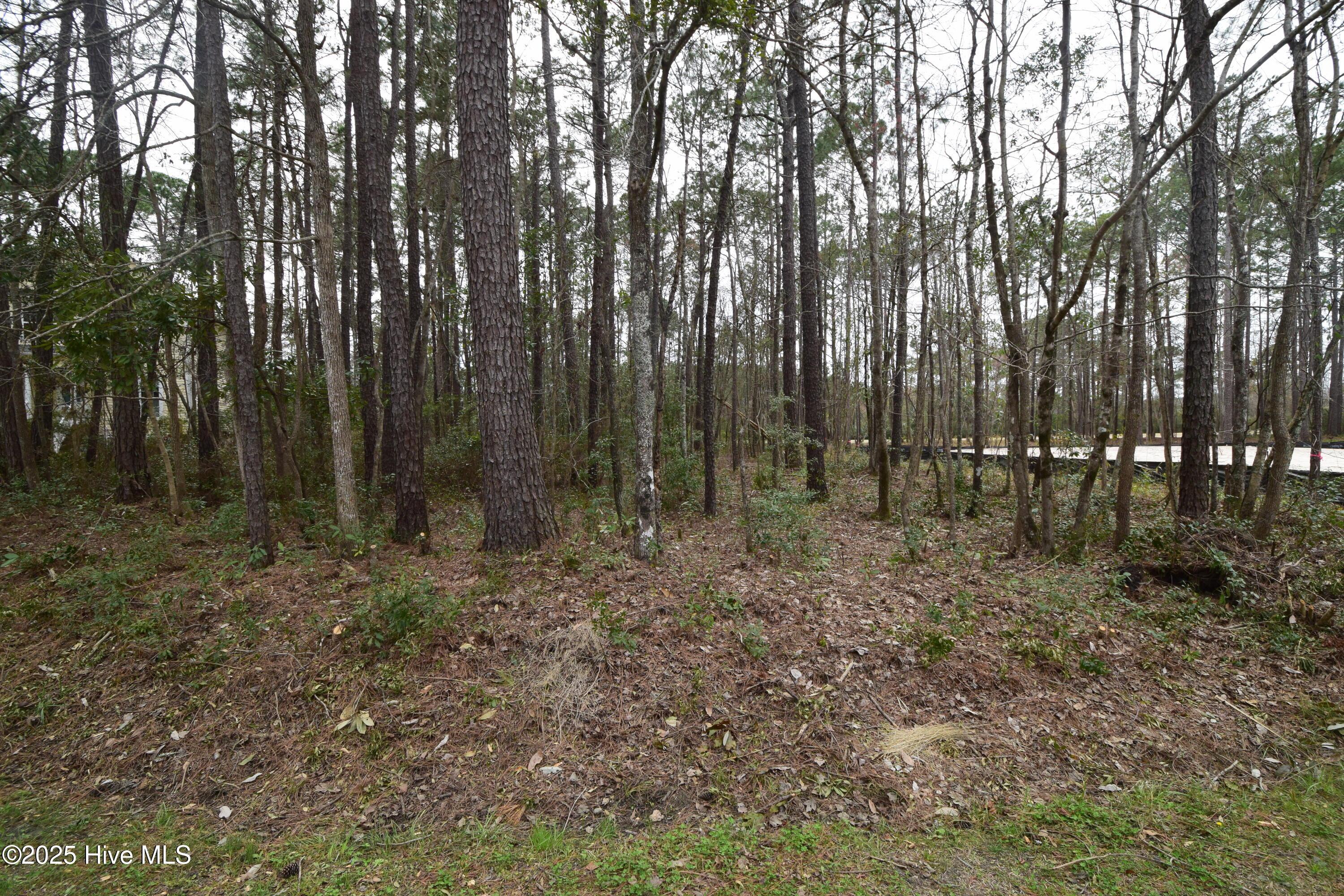 Image 1: 1