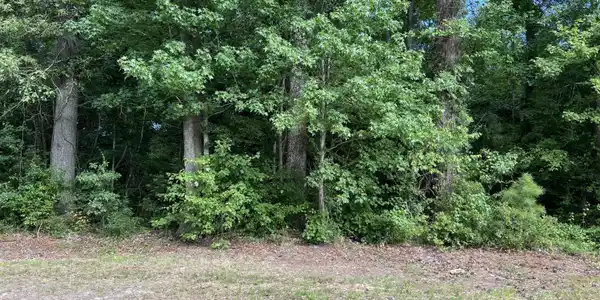 115 Colony Drive