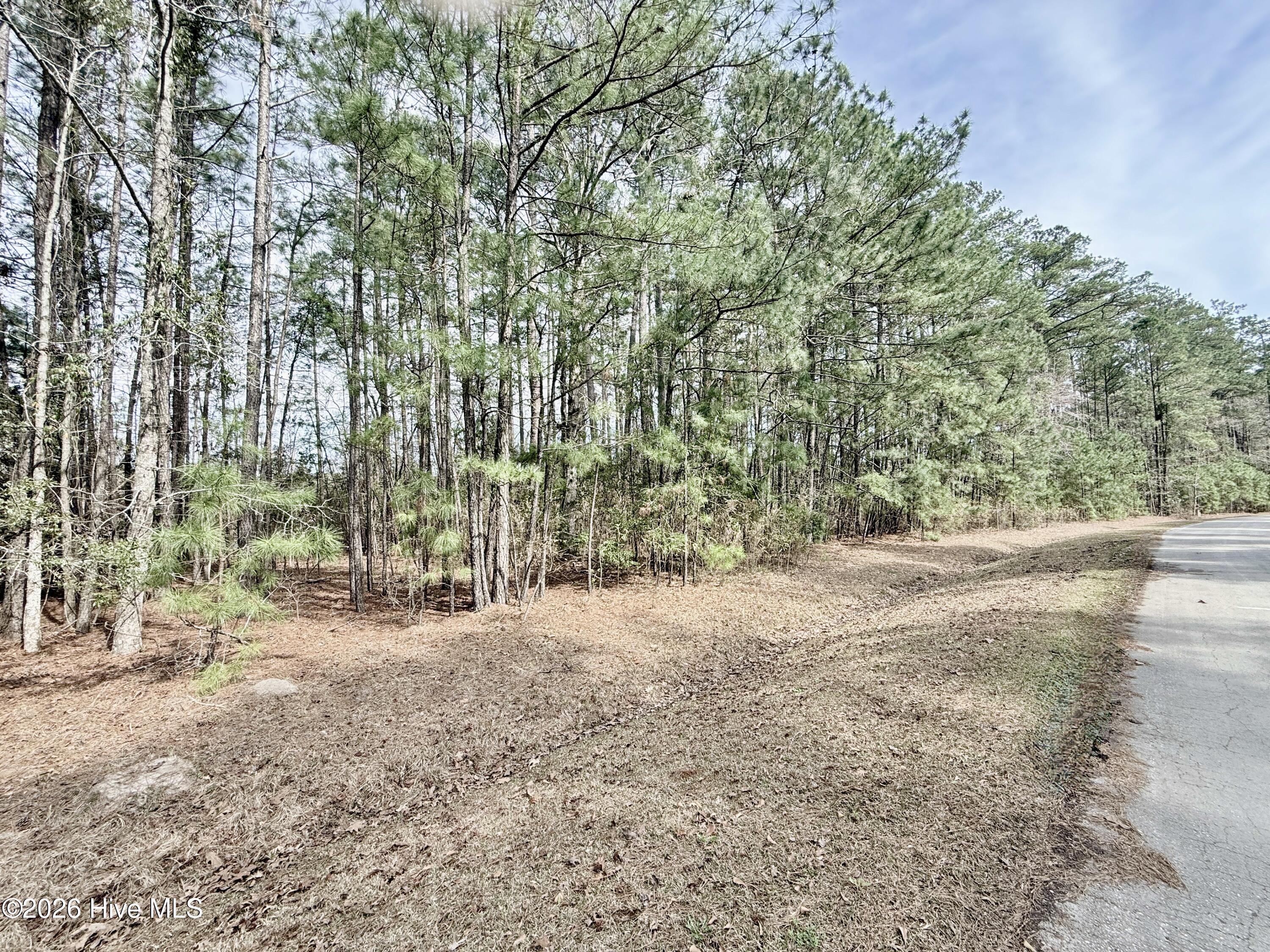 Image 3: Lot 86, Sec 3 Doris Drive