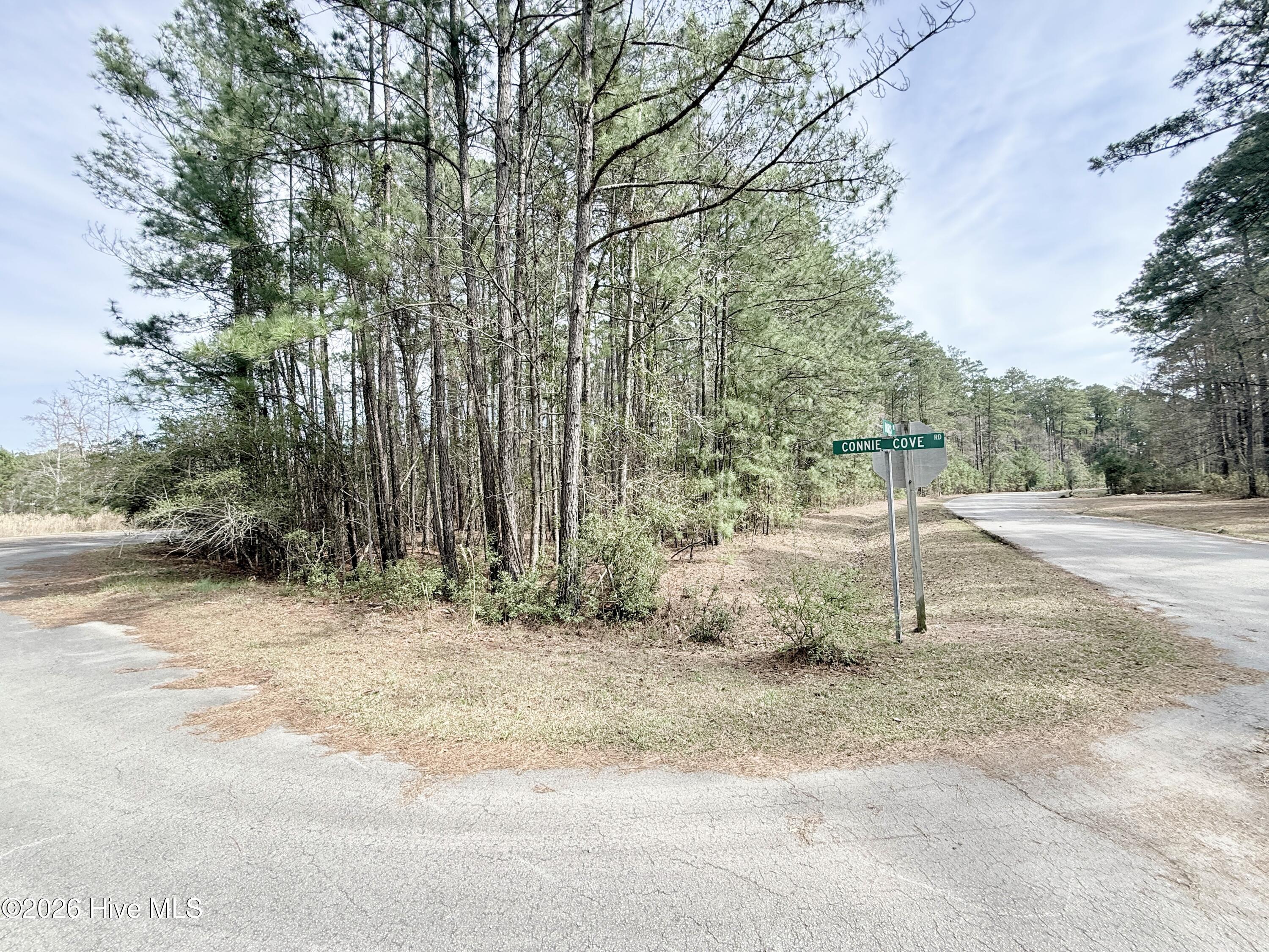 Image 4: Lot 86, Sec 3 Doris Drive