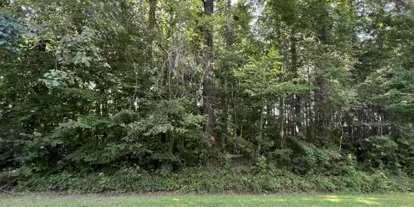 206 Colony Drive
