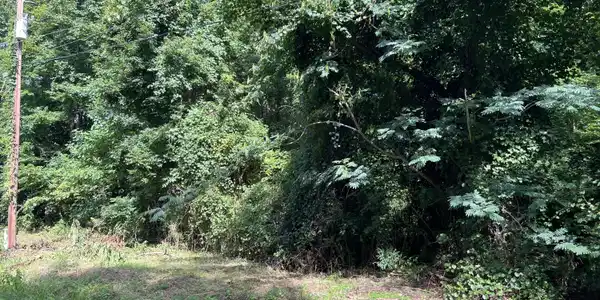 211 Colony Drive