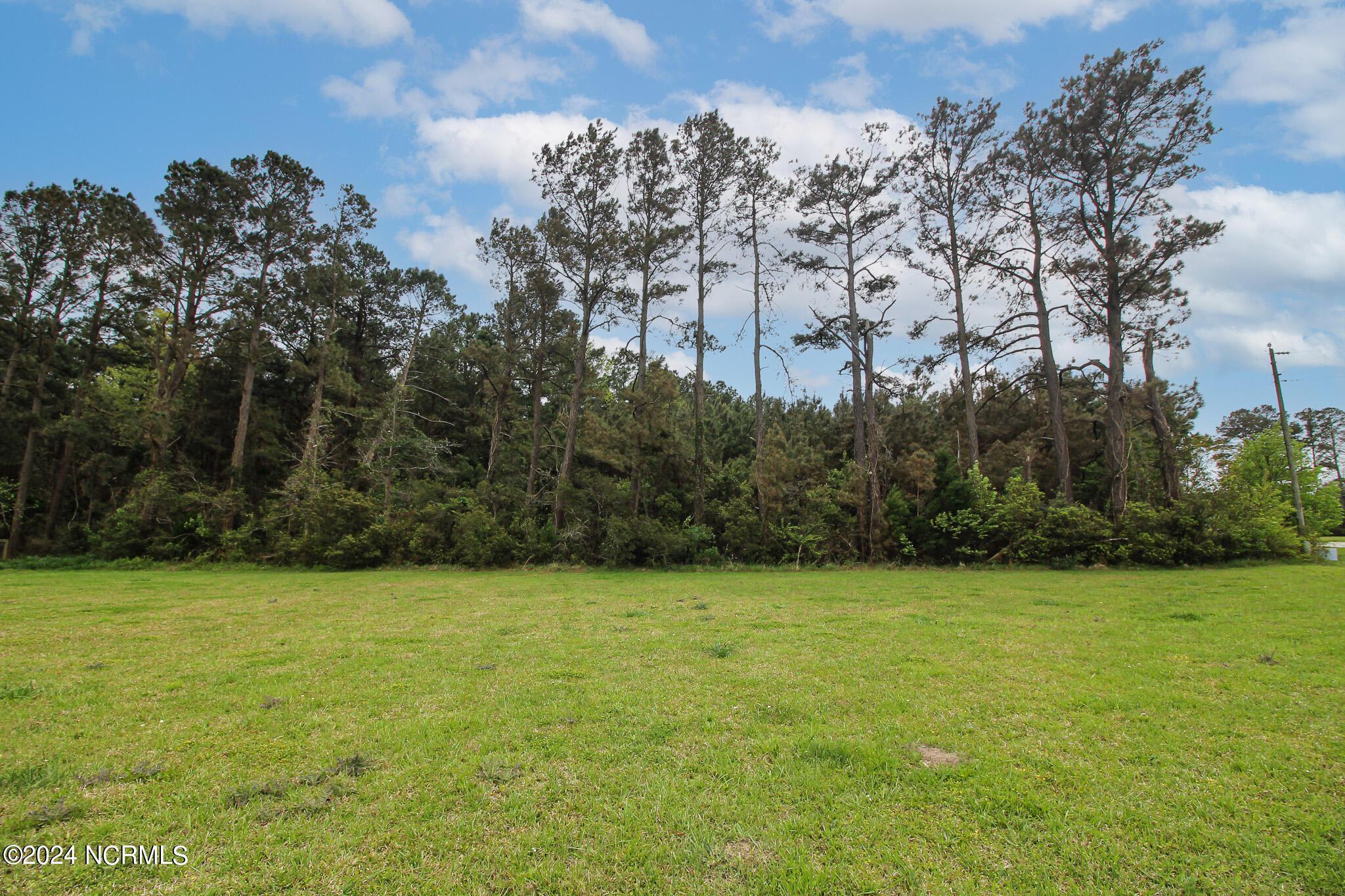 Image 3: 1125 Bluebill Drive