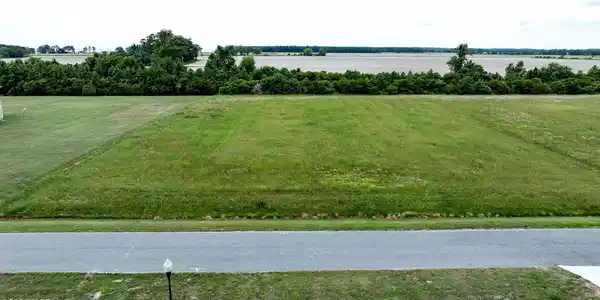 Image 2: lot1