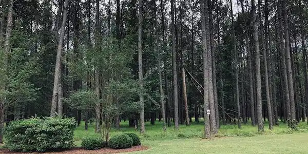 Image 4: Lot 26