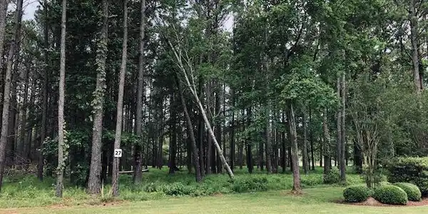 Image 4: Lot 27
