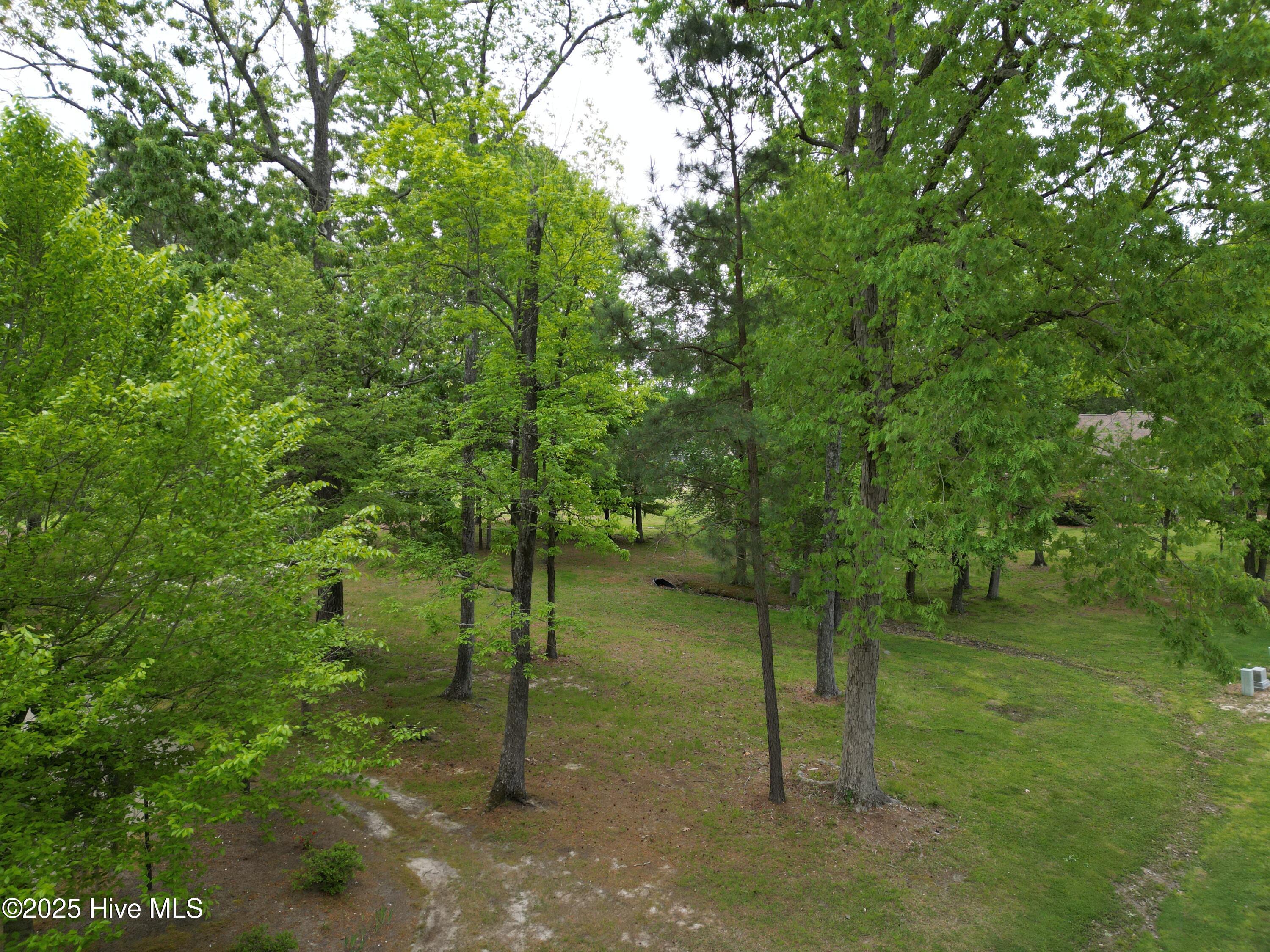 Image 4: DJI_0455