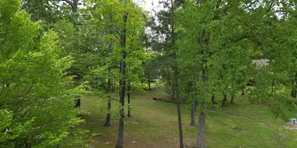 Image 4: DJI_0455