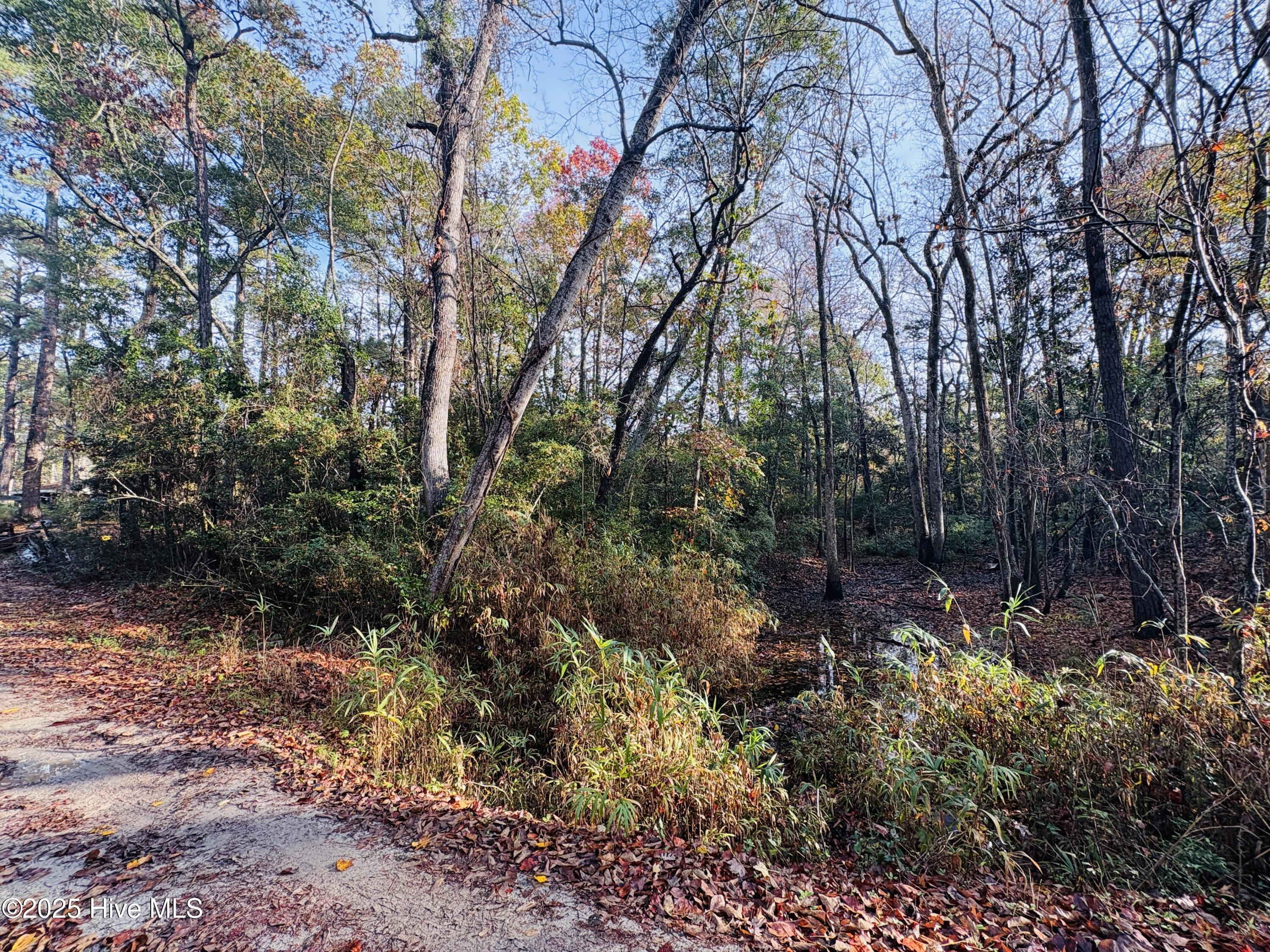 Image 1: 1574 Hollywood St. SW. Shallotte