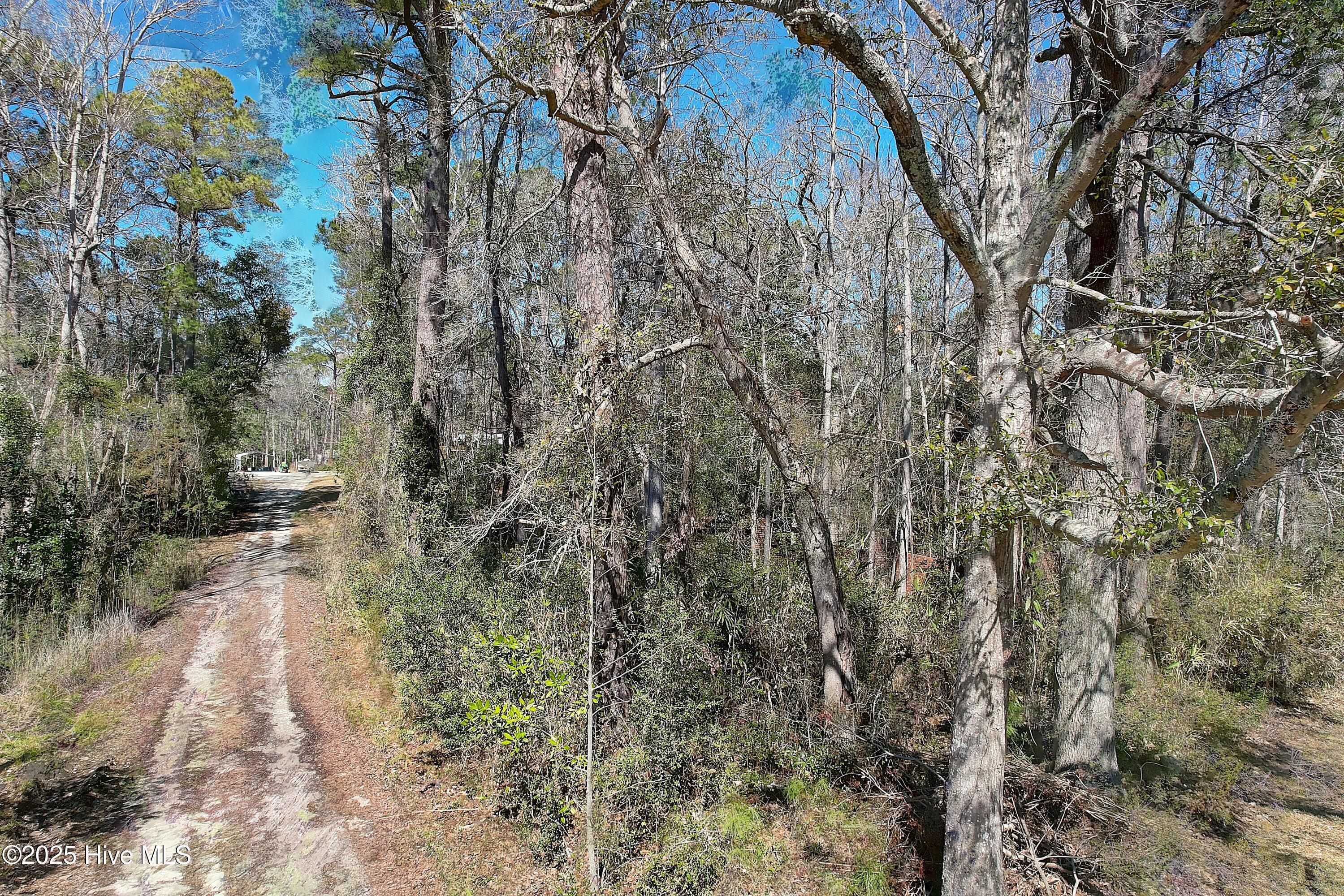 Image 2: View of Hollywood Street