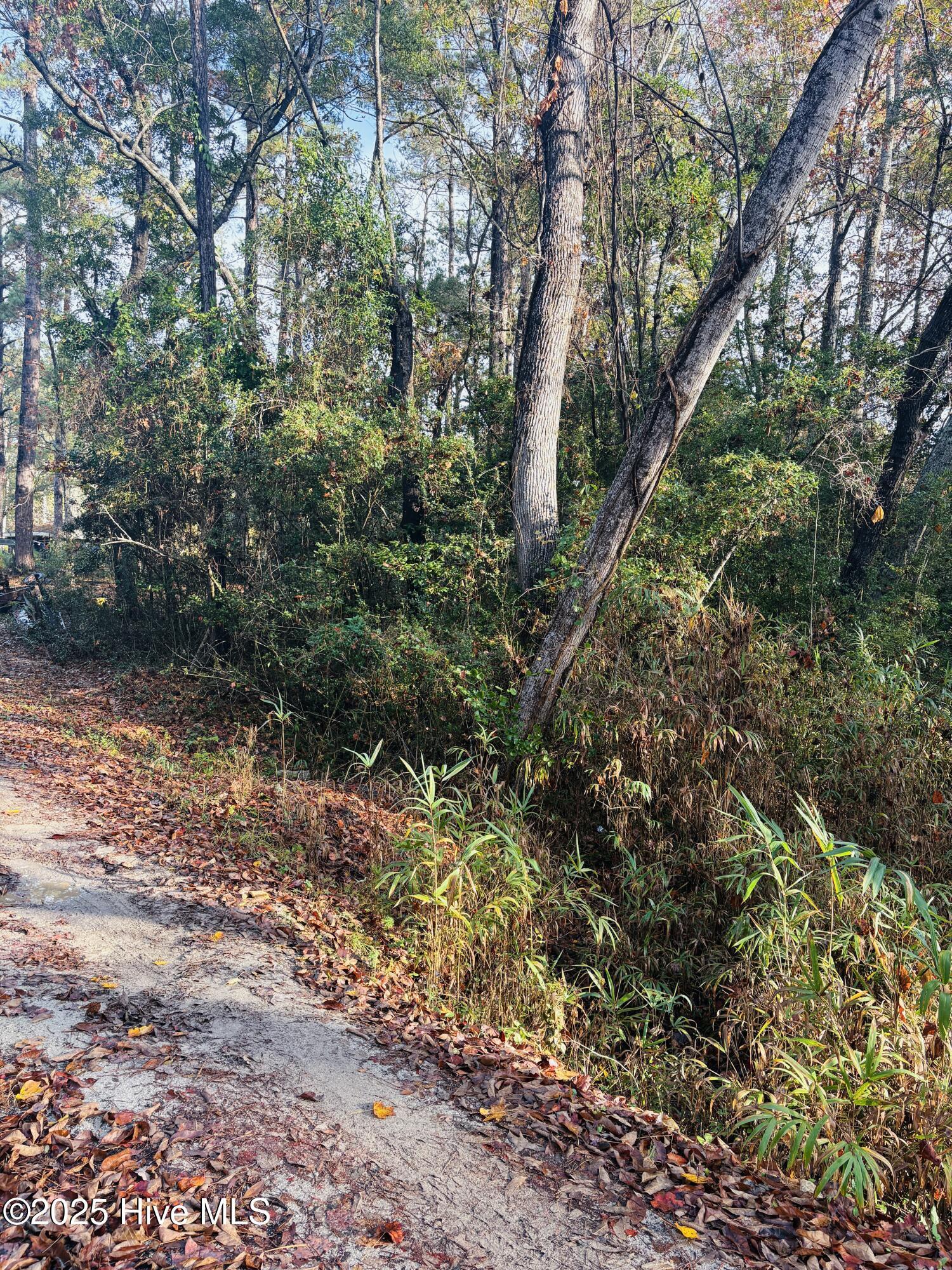 Image 3: Road Frontage View