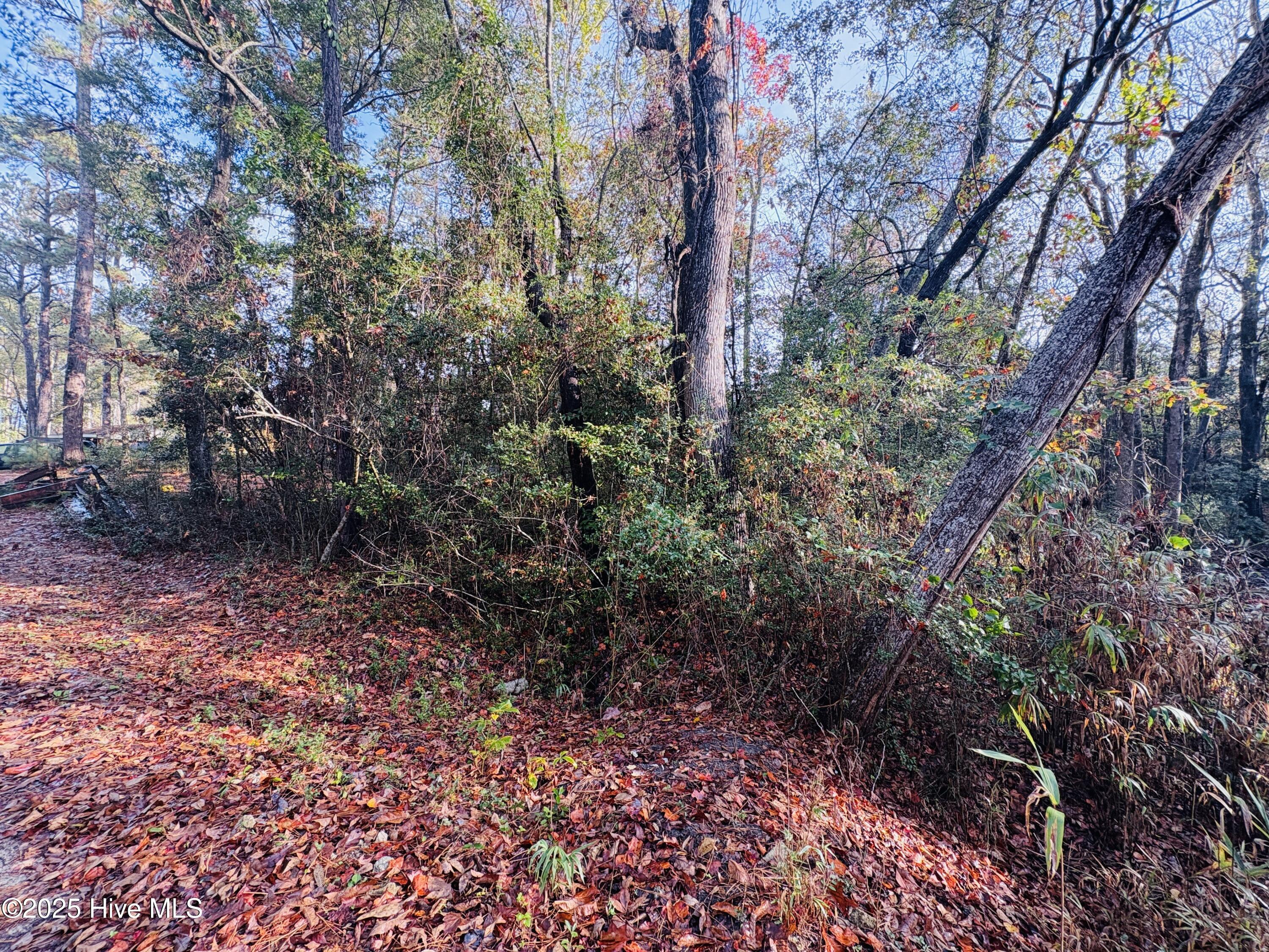 Image 4: Front Elevation of Lot