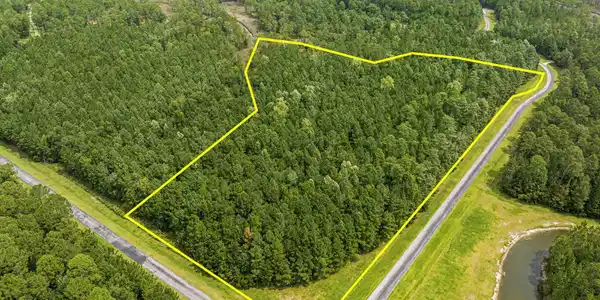 Image 3: 15 Paradox Point Drive, Aurora, NC 27806