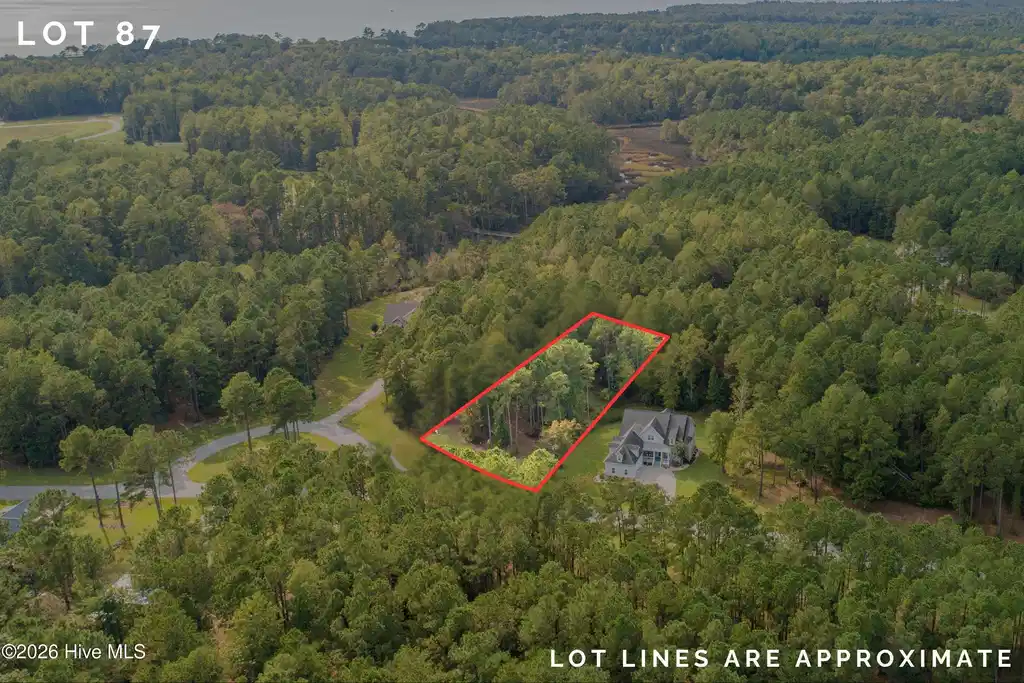 Image 1: Lot 87 red lines