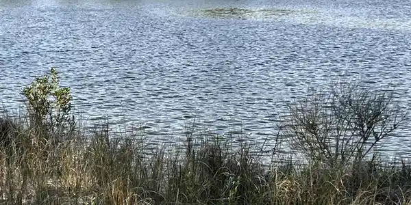 Lot 7 Treasure Cay Drive