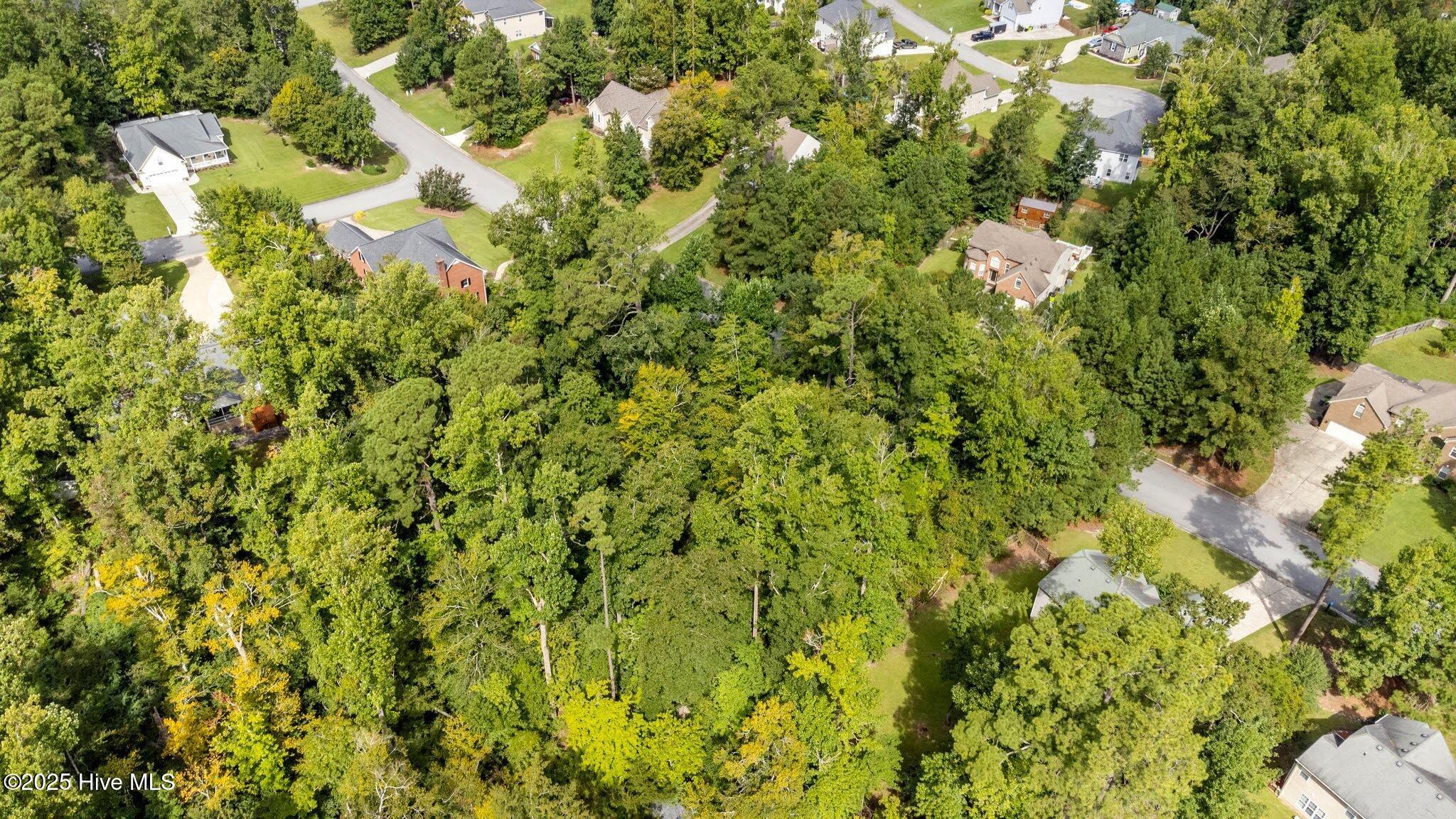 Image 3: 3-web-or-mls-DJI_0016