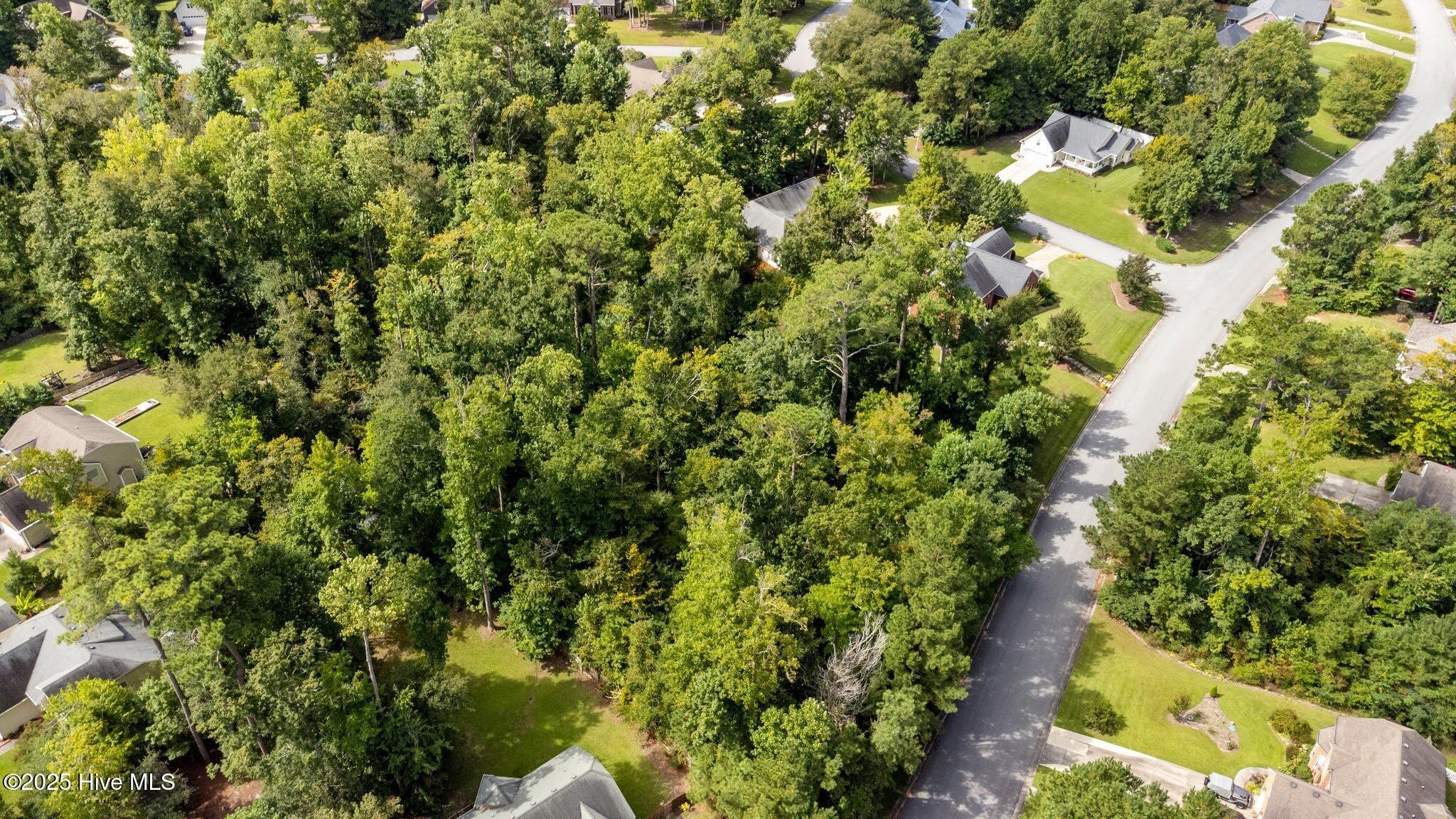 Image 4: 4-web-or-mls-DJI_0017