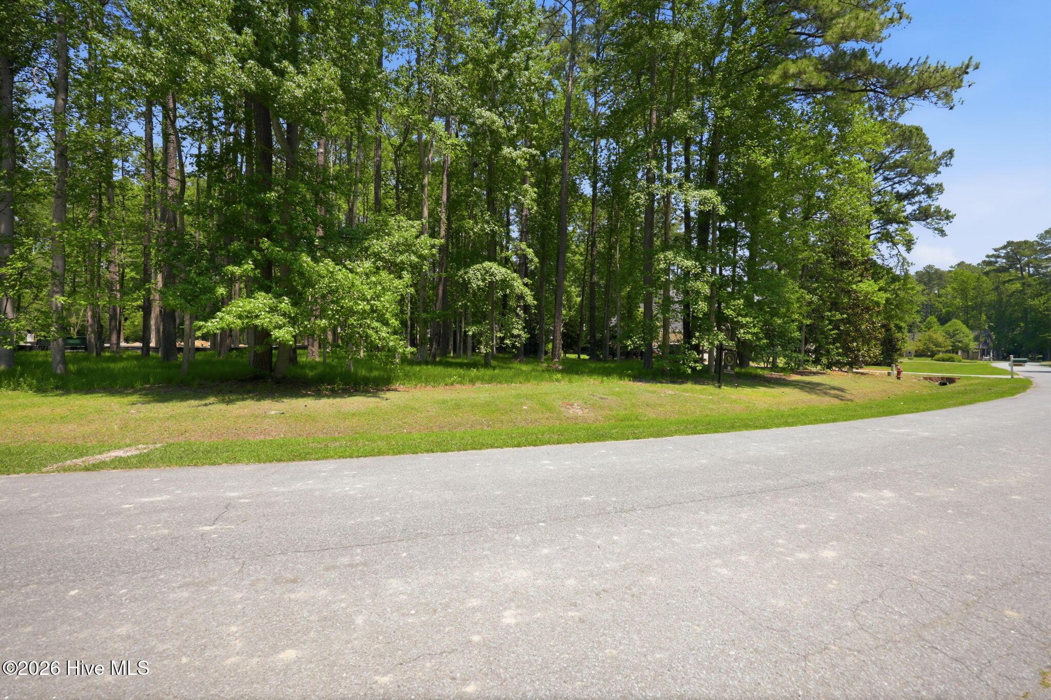 Image 4: 6-web-or-mls-BLS_0002