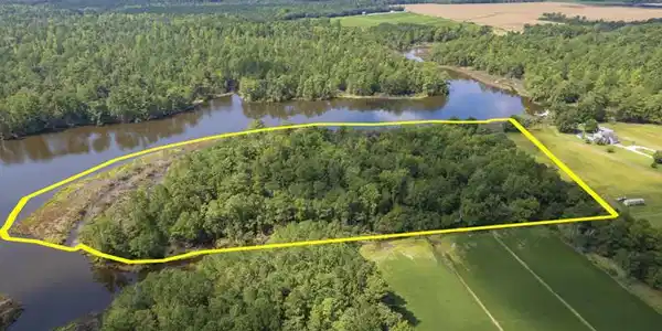 Image 4: 11.4 Acres on Smith Creek, Vandemere