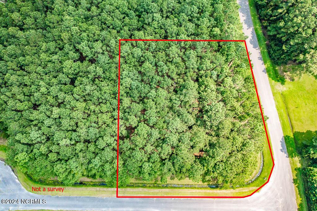 Image 3: Perfect Corner Lot!