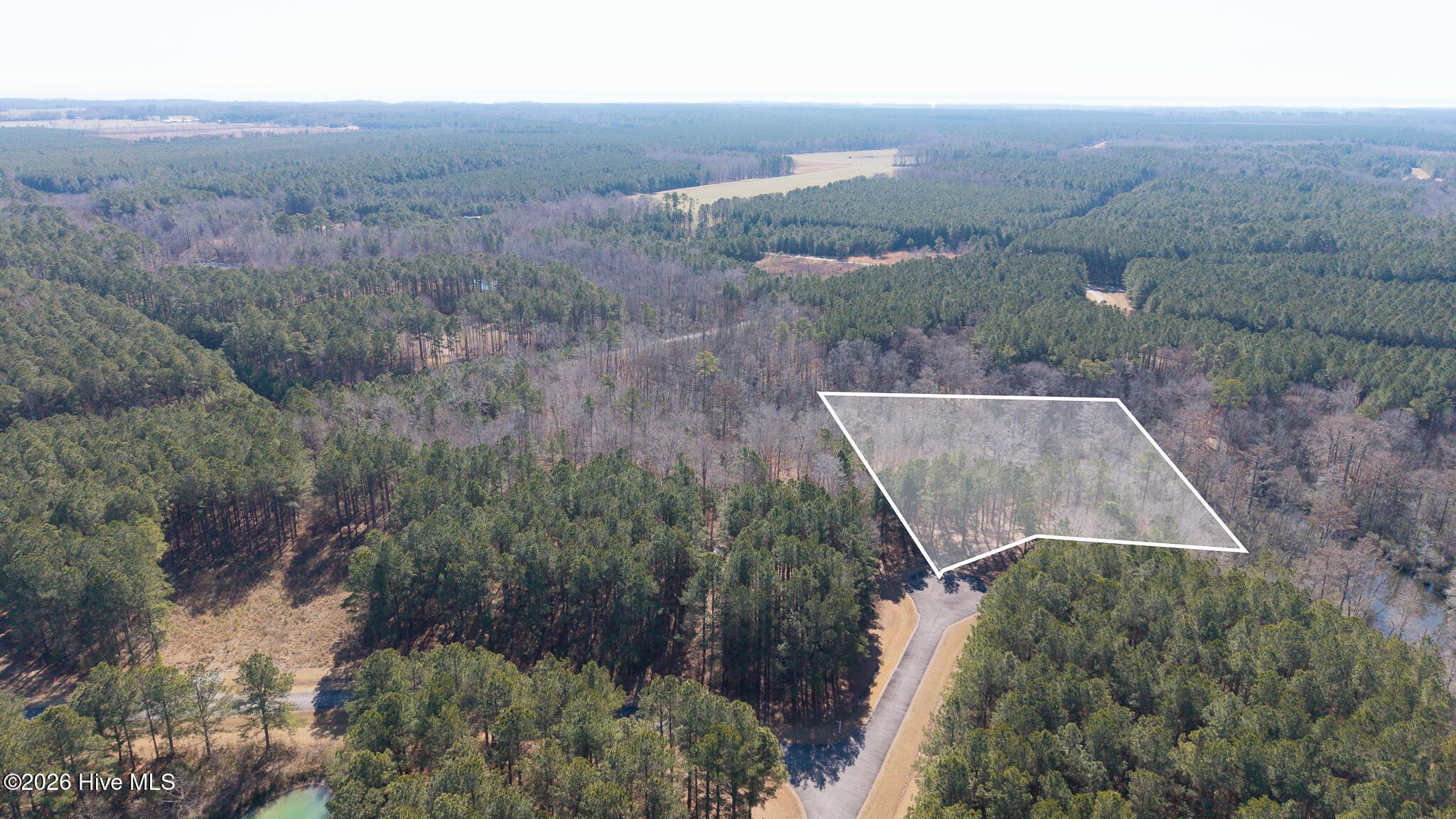 Image 3: 312 Plumtree Court-03