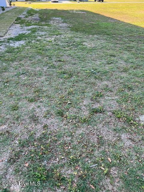 Image 2: Lot 337