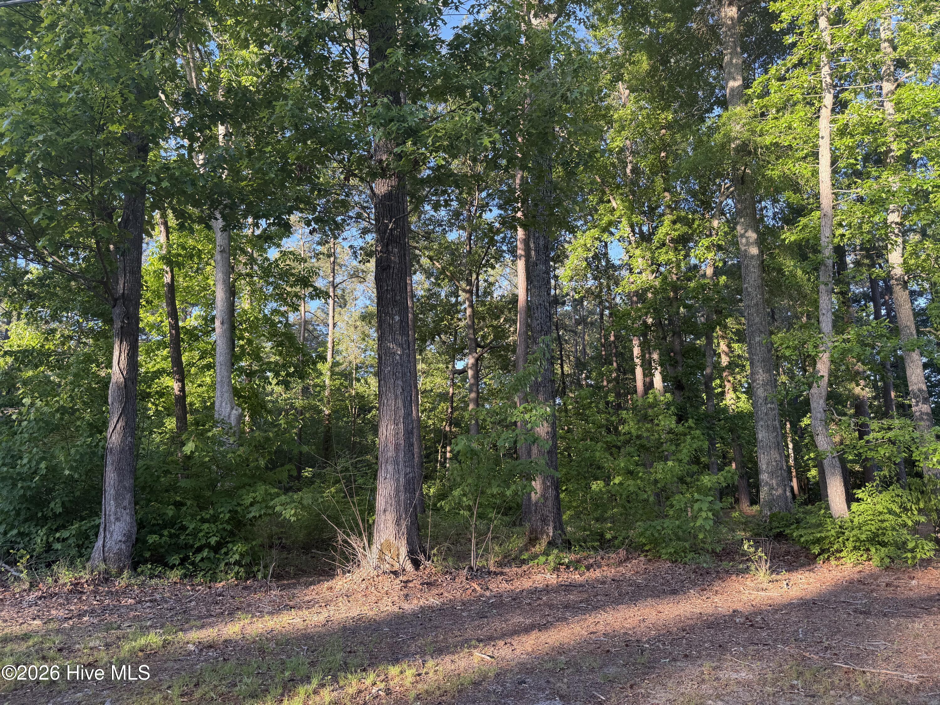 Image 1: Land