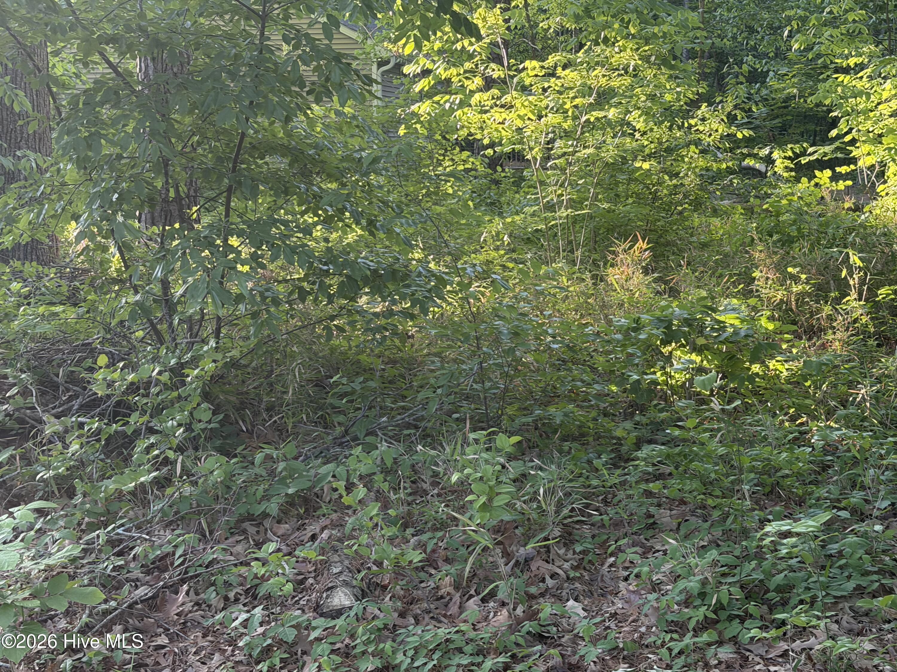 Image 3: IMG_2279