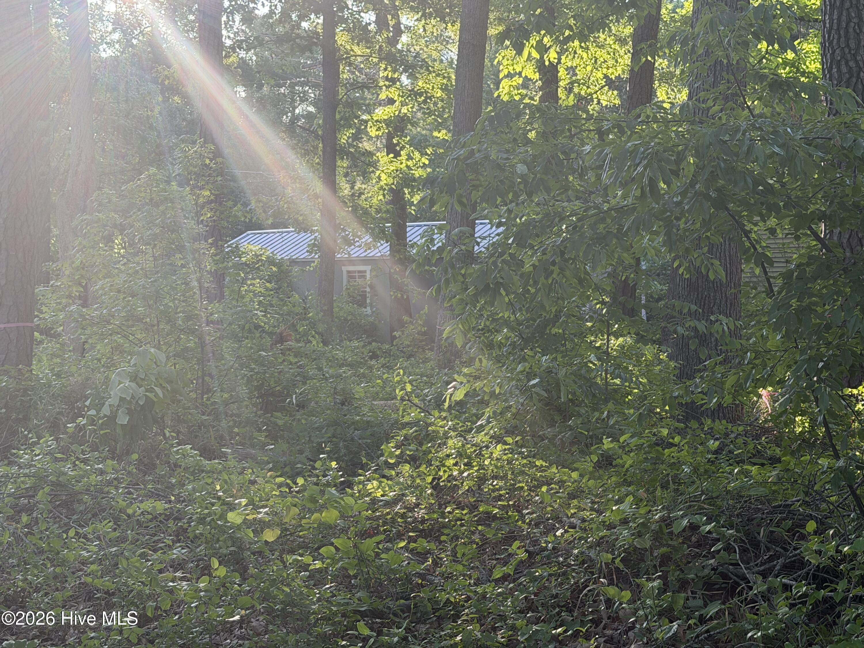 Image 4: IMG_2280
