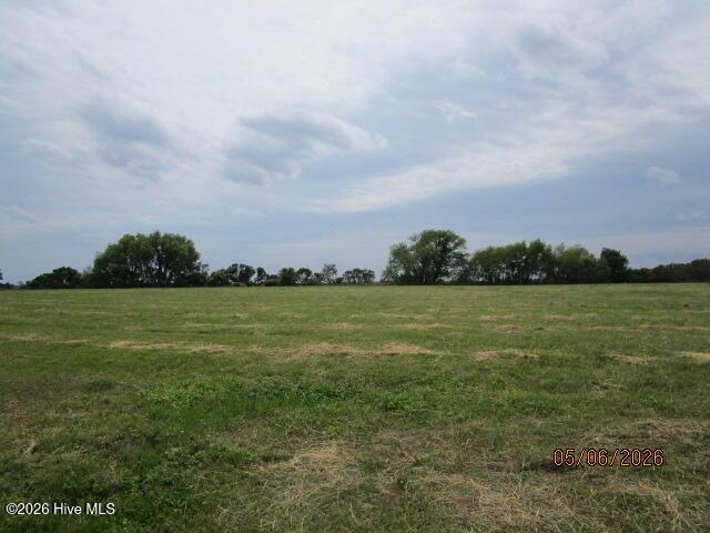 Image 2: IMG_7462